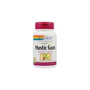 Mastic gum 45cps SOLARAY