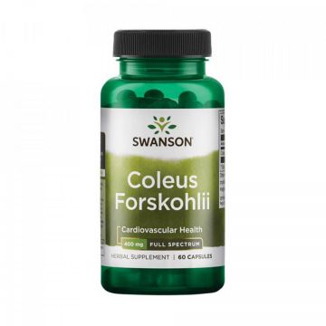 Coleus Forskohlii, 400mg, 60 capsule, Swanson (TIP PRODUS: Suplimente alimentare, Concentratie: 60 capsule)