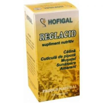 Reglacid Hofigal 60 capsule (Concentratie: 276 mg)