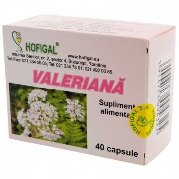 Valeriana Hofigal 40 capsule (Concentratie: 300 mg)