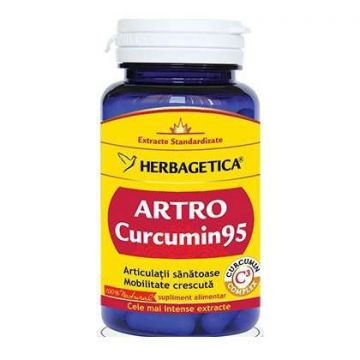 Artro Curcumin95 Herbagetica capsule (Ambalaj: 120 capsule, Concentratie: 390 mg)