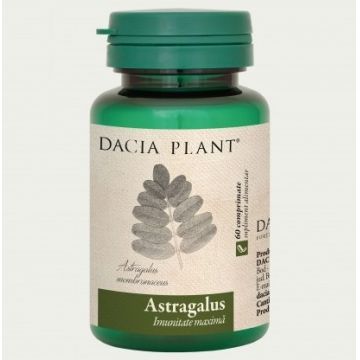 Astragalus Dacia Plant 60 comprimate (Concentratie: 500 mg)