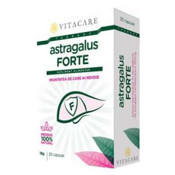 Astragalus Forte Vitacare 30 capsule (Concentratie: 450 mg)
