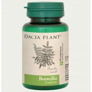 Boswellia Dacia Plant 60 comprimate (Concentratie: 500 mg)