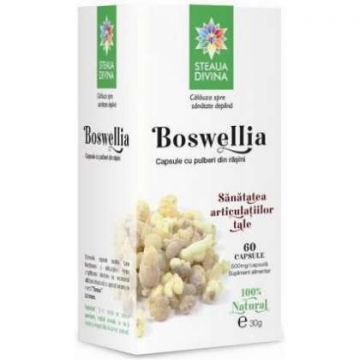 Boswellia Steaua Divina 60 capsule (Concentratie: 400 mg)