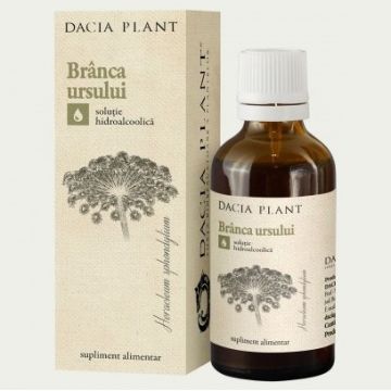 Branca Ursului Tinctura Dacia Plant (Gramaj: 50 ml)