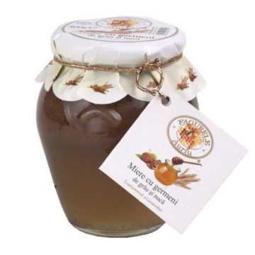Miere cu Germeni de Grau si Nuca Euroapicola 400 g (Gramaj: 400 g)