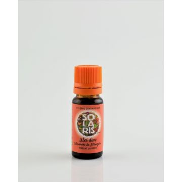 Ulei Samburi Struguri Presat la Rece Solaris (Ambalaj: 50 ml)