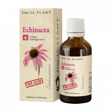 Echinacea fără alcool, Dacia Plant