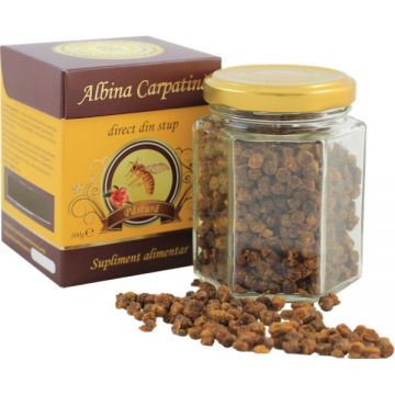 Pastura Apicola Pastoral Georgescu 100 gr