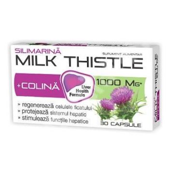 Silimarina+Colina Milk Thistle 1000mg, 30 capsule, Natur Produkt