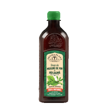 Sirop de pin si patlagina, 500ml, Aroma Plant Bonchis