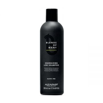 Sampon energizant anti-cadere Alfaparf Energizing Low Shampoo Blends of Many (Concentratie: Sampon, Gramaj: 250 ml)