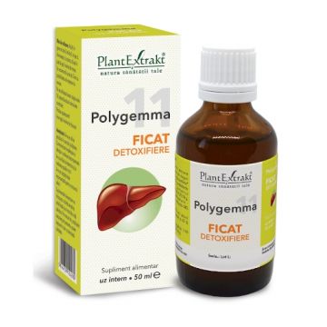 plantextrakt polygemma 11 ficat detoxifiere 50ml