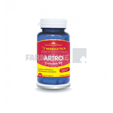 Artro Curcumin 95 60 capsule