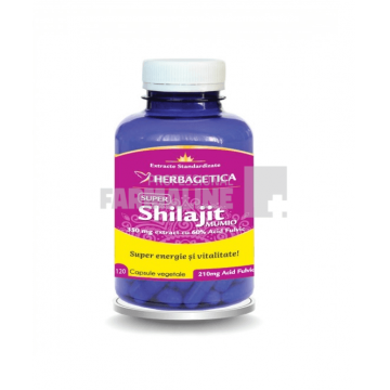 Shilajit Mumio 120 capsule