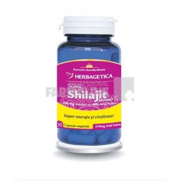Shilajit Mumio 30 capsule