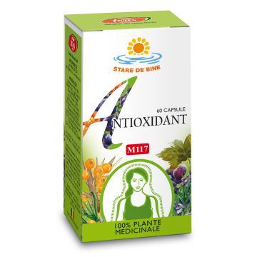 Antioxidant, 60 capsule, Fares