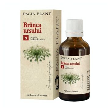 Dacia Plant Tinctura branca ursului, 200ml, ajutor impotenta