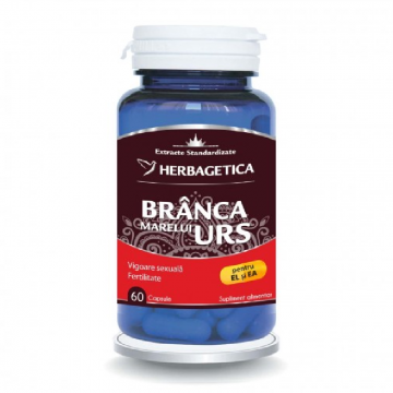 Branca Marelui Urs, 60 capsule, Herbagetica