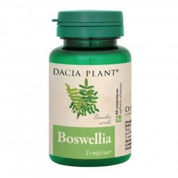 Dacia Plant Boswellia, 60 cpr.