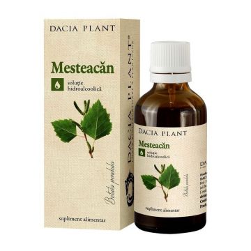 DACIA PLANT Tinctura mesteacan, 50 ml