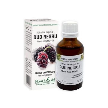 Extract din muguri de DUD NEGRU, 50 ml