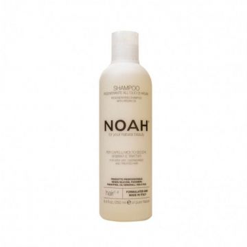 Noah Sampon natural regenerant cu ulei de argan pentru par foarte uscat si tratat (1.4), 250 ml