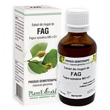 PLE Extract din muguri de fag, sanatatea rinichilor, 50 ml