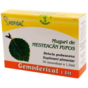 Muguri de Mesteacăn pufos Gemoderivat, 30 doze, Hofigal