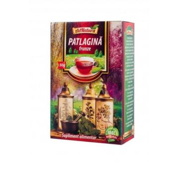 Ceai frunze de patlagina, 50g, AdNatura
