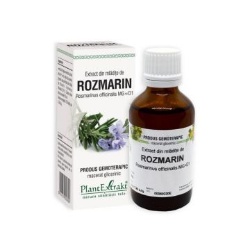 Extract din mladite de ROZMARIN, 50 ml