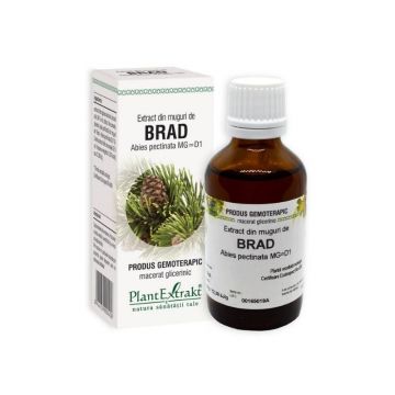 Extract din muguri de BRAD, 50 ml