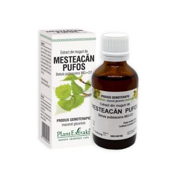 Extract din muguri de MESTEACAN PUFOS, 50 ml