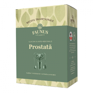 Ceai Retete Traditionale Prostata, 180g, Faunus Plant