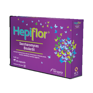 Hepiflor Saccharomyces B., 10 capsule, Terapia