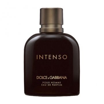 Dolce&Gabbana Pour Homme Intenso, Apa de Parfum (Concentratie: Apa de Parfum, Gramaj: 125 ml Tester)