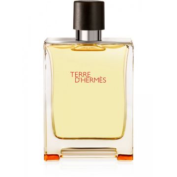 Terre D'Hermes, Barbati, Apa de Toaleta (Concentratie: Apa de Toaleta, Gramaj: 100 ml Tester)