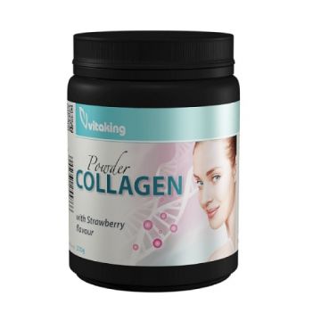 vitaking colagen+vit c 330g