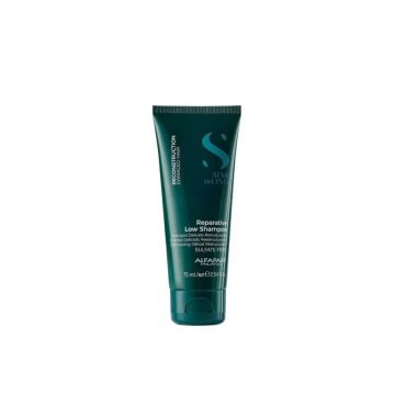 Sampon Reconstruction Mini, 75ml, Alfaparf