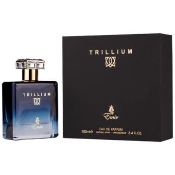 Trillium Emir Paris Corner, Apa de Parfum, Barbati, 100 ml (Gramaj: 100 ml)