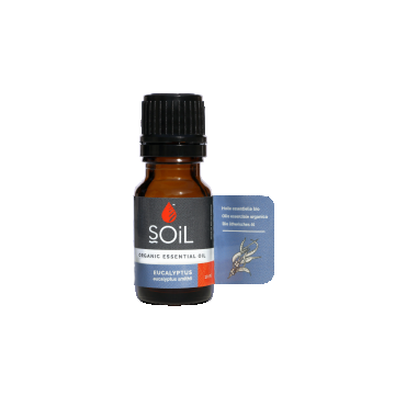 Ulei esential Eucalyptus 100% Organic, 10ml, Soil