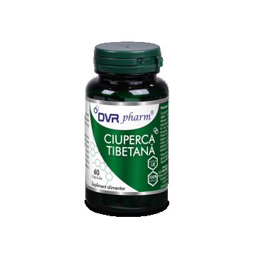 Ciuperca Tibetana, 60 capsule, DVR Pharm