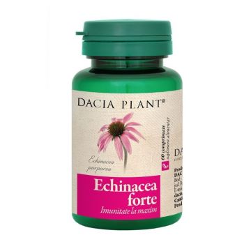 Echinaceea forte, 60 capsule, Dacia Plant