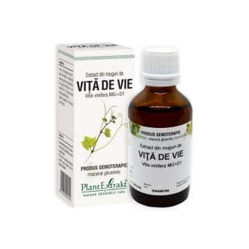 Extract din muguri de VITA DE VIE, 50 ml