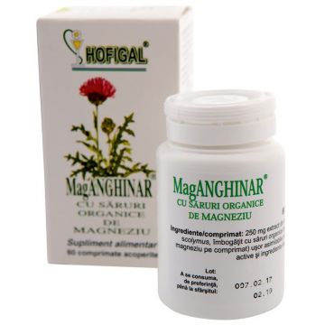 HOFIGAL Mag-anghinar, 60 comprimate
