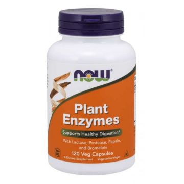 NOW Plant Enzymes 120 vcaps