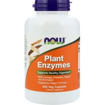 NOW Plant Enzymes 240 vcaps