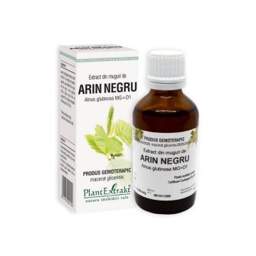 Plant Extrakt Muguri de arin negru, 50 ml