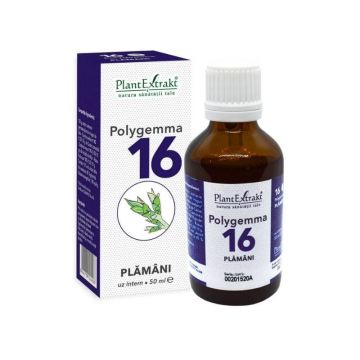 POLYGEMMA nr.16 Plamani-detoxifiere, 50 ml